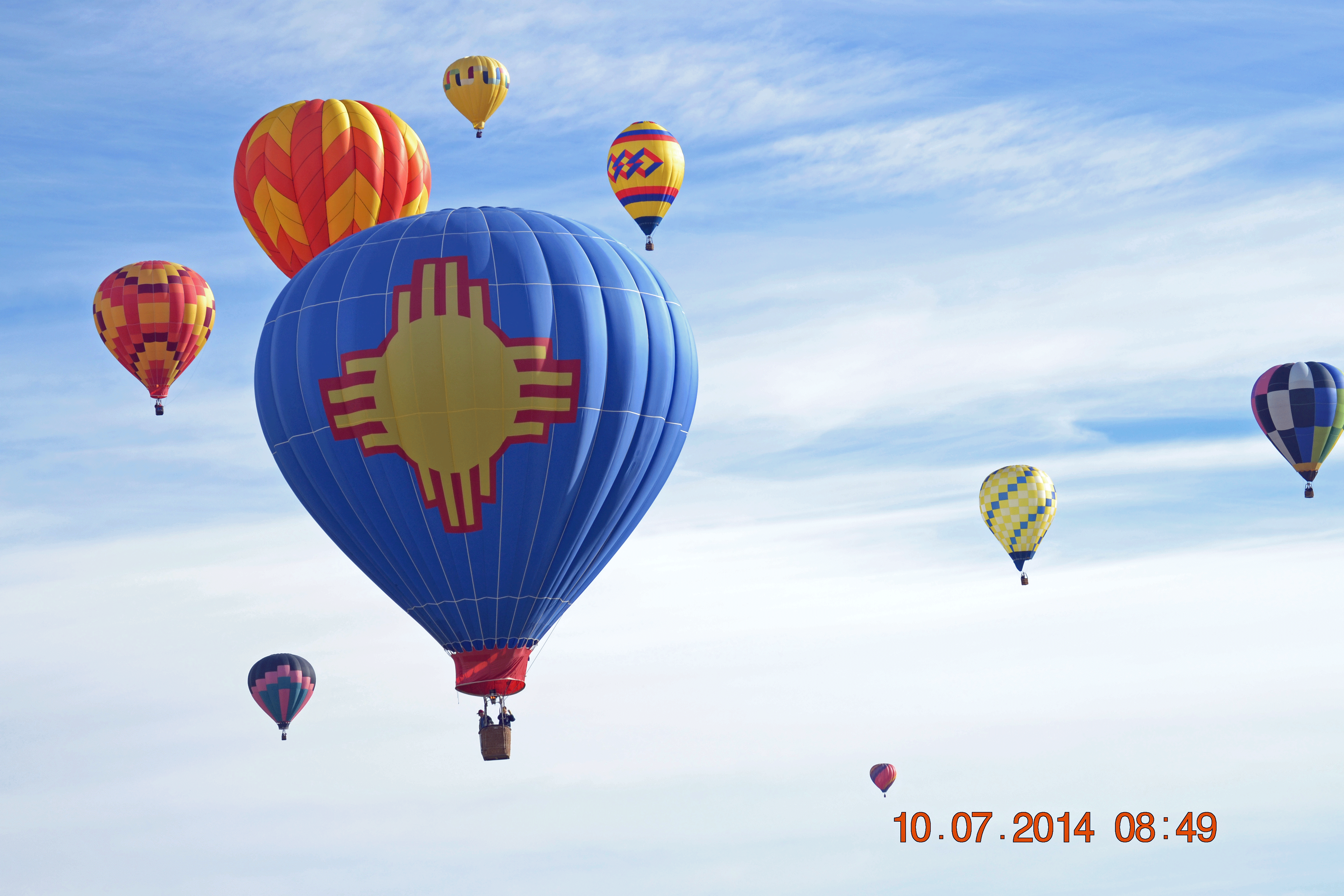 Sun Flyer on a Sunny Day